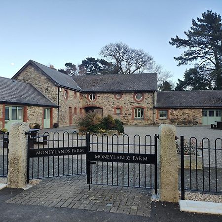 The View At Moneylands Villa Arklow Exterior photo